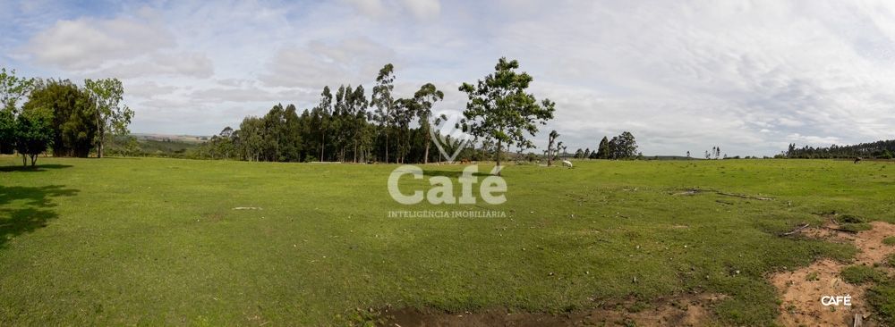 Sítio à venda com 3 quartos, 150000m² - Foto 28