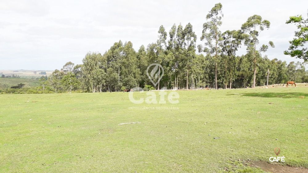Sítio à venda com 3 quartos, 150000m² - Foto 26