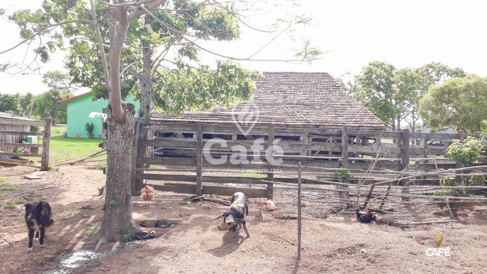 Sítio à venda com 3 quartos, 150000m² - Foto 13
