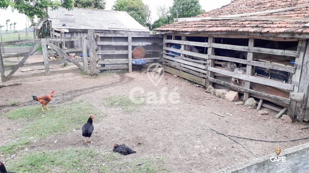 Sítio à venda com 3 quartos, 150000m² - Foto 14