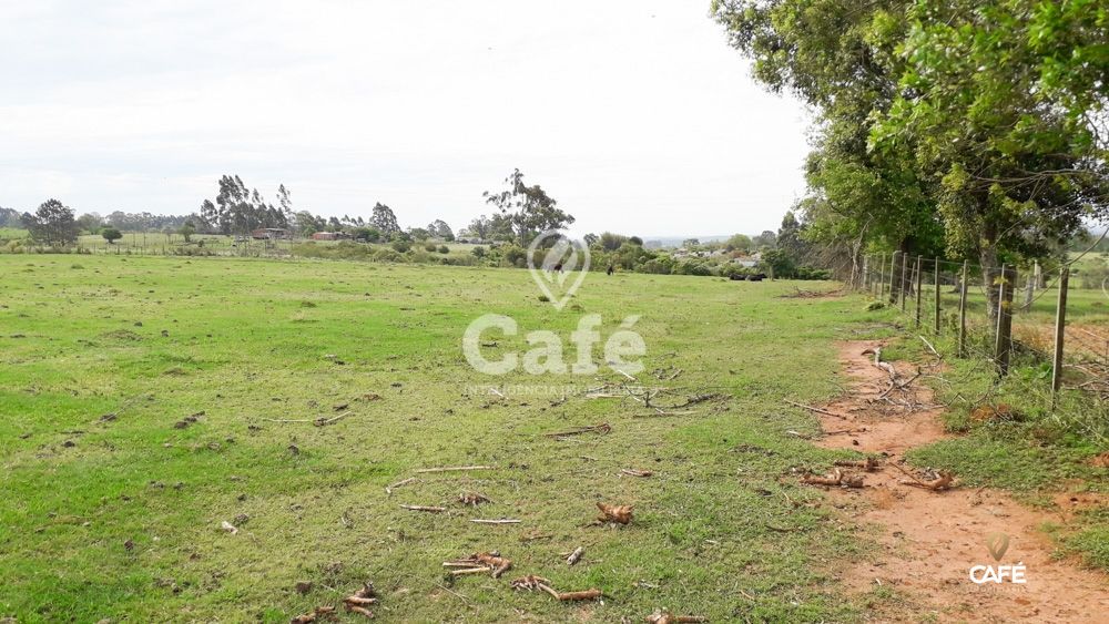 Sítio à venda com 3 quartos, 150000m² - Foto 34