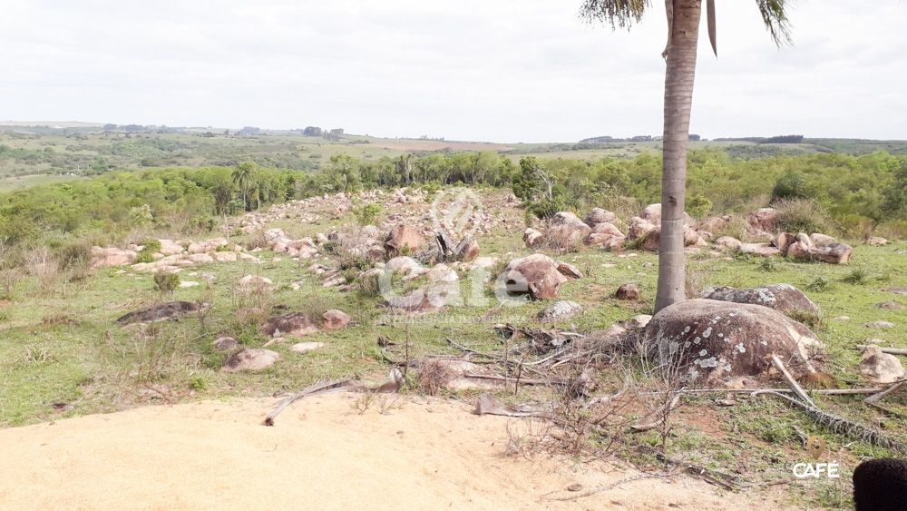 Sítio à venda com 3 quartos, 150000m² - Foto 33