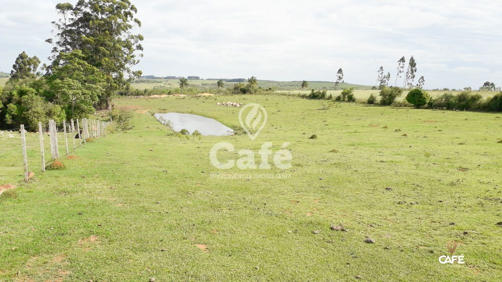 Sítio à venda com 3 quartos, 150000m² - Foto 32