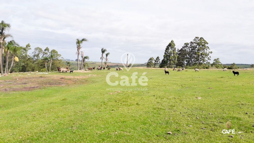 Sítio à venda com 3 quartos, 150000m² - Foto 31