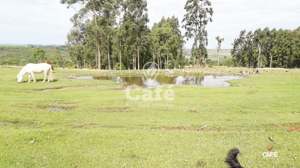 Sítio à venda com 3 quartos, 150000m² - Foto 30