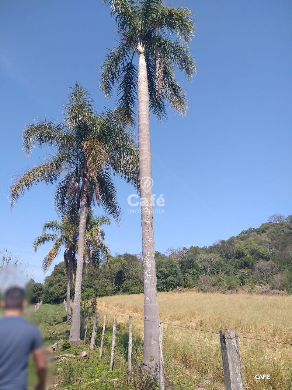 Loteamento e Condomínio à venda com 1 quarto, 28600000000m² - Foto 19