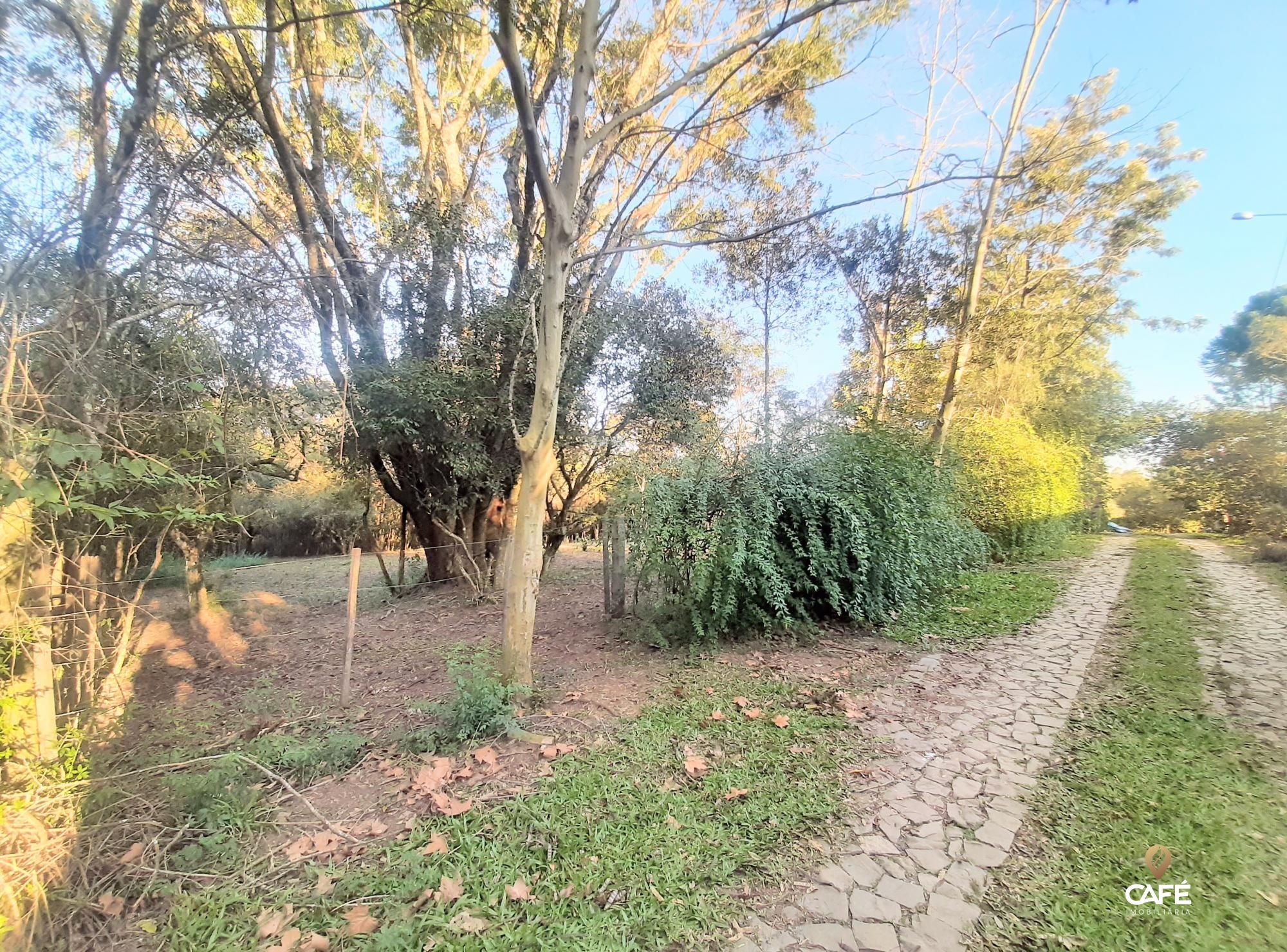 Terreno, 2000 m² - Foto 2