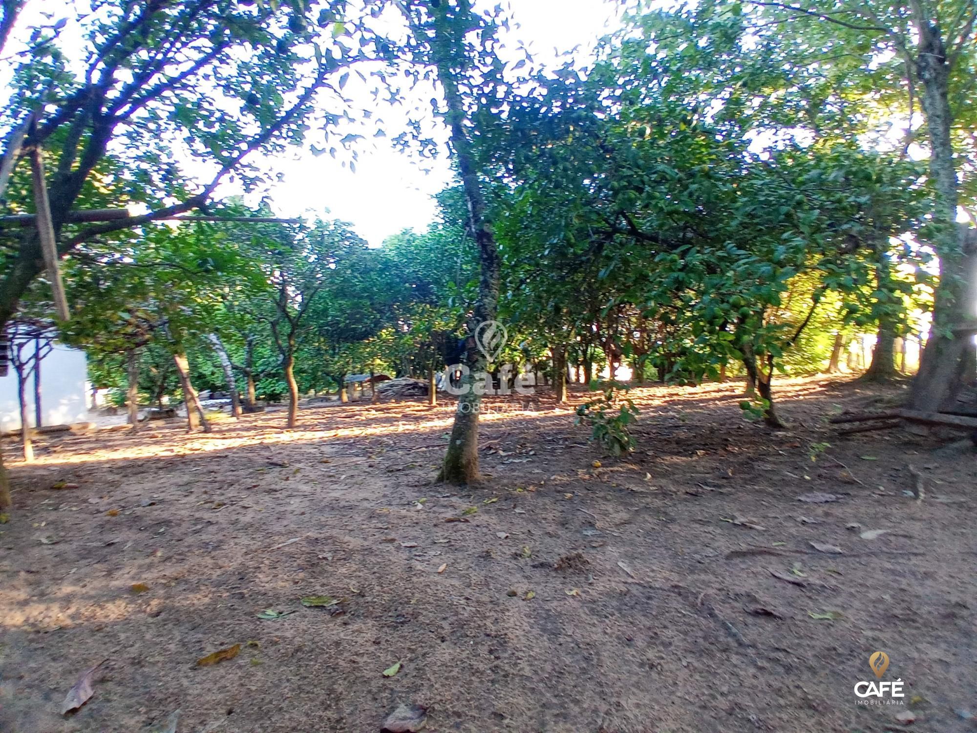 Chácara, 2 quartos, 35000 hectares - Foto 3