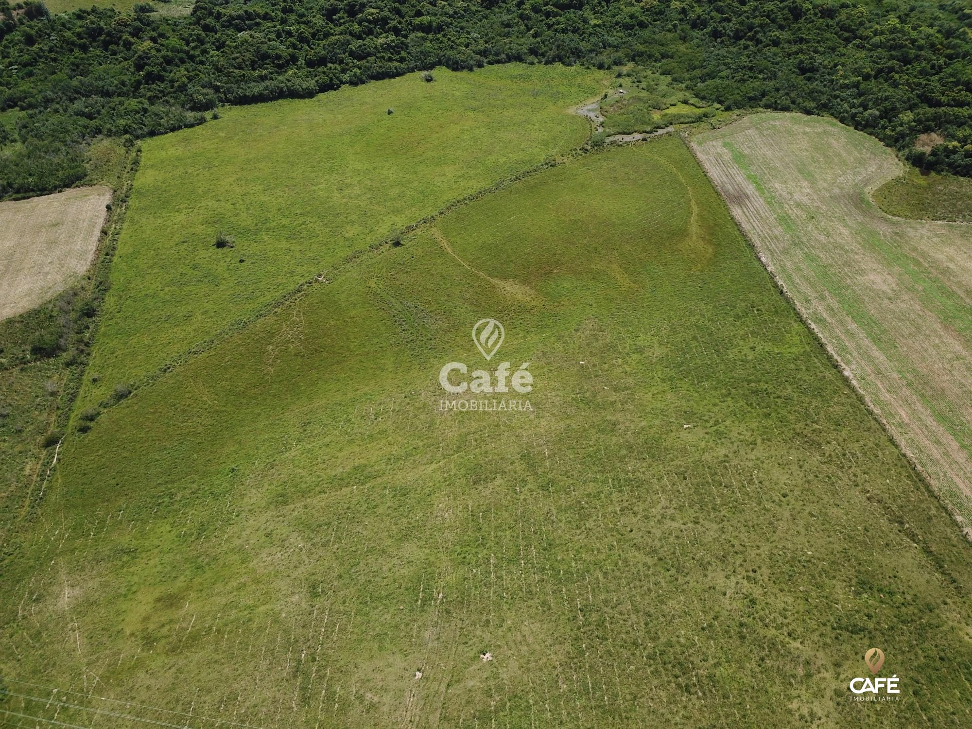 Fazenda à venda com 2 quartos, 180000m² - Foto 11