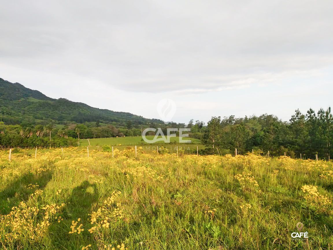 Terreno à venda, 41000m² - Foto 1