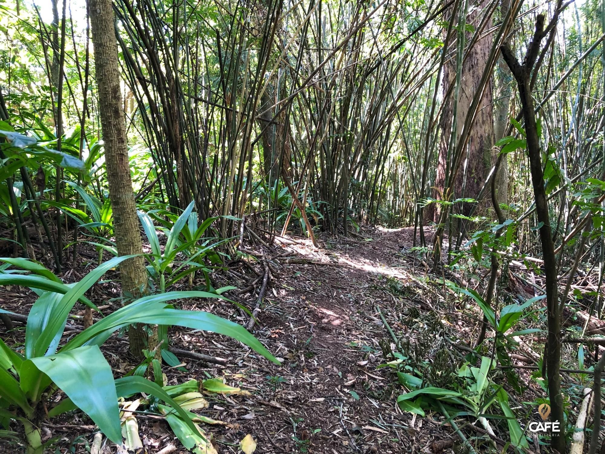 Apartamento, 3 quartos, 258 m² - Foto 7