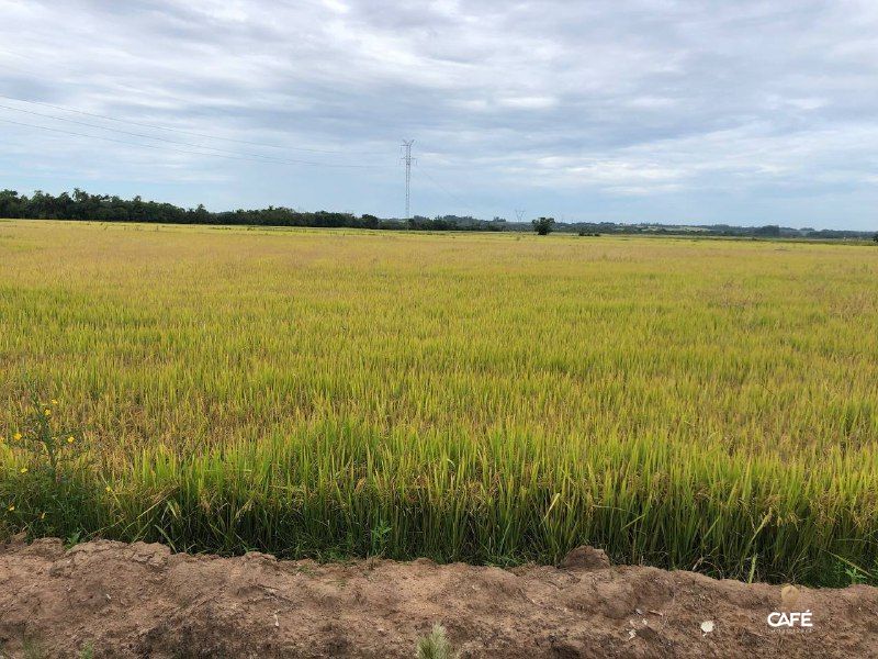 Loteamento e Condomínio à venda, 16000000000m² - Foto 1