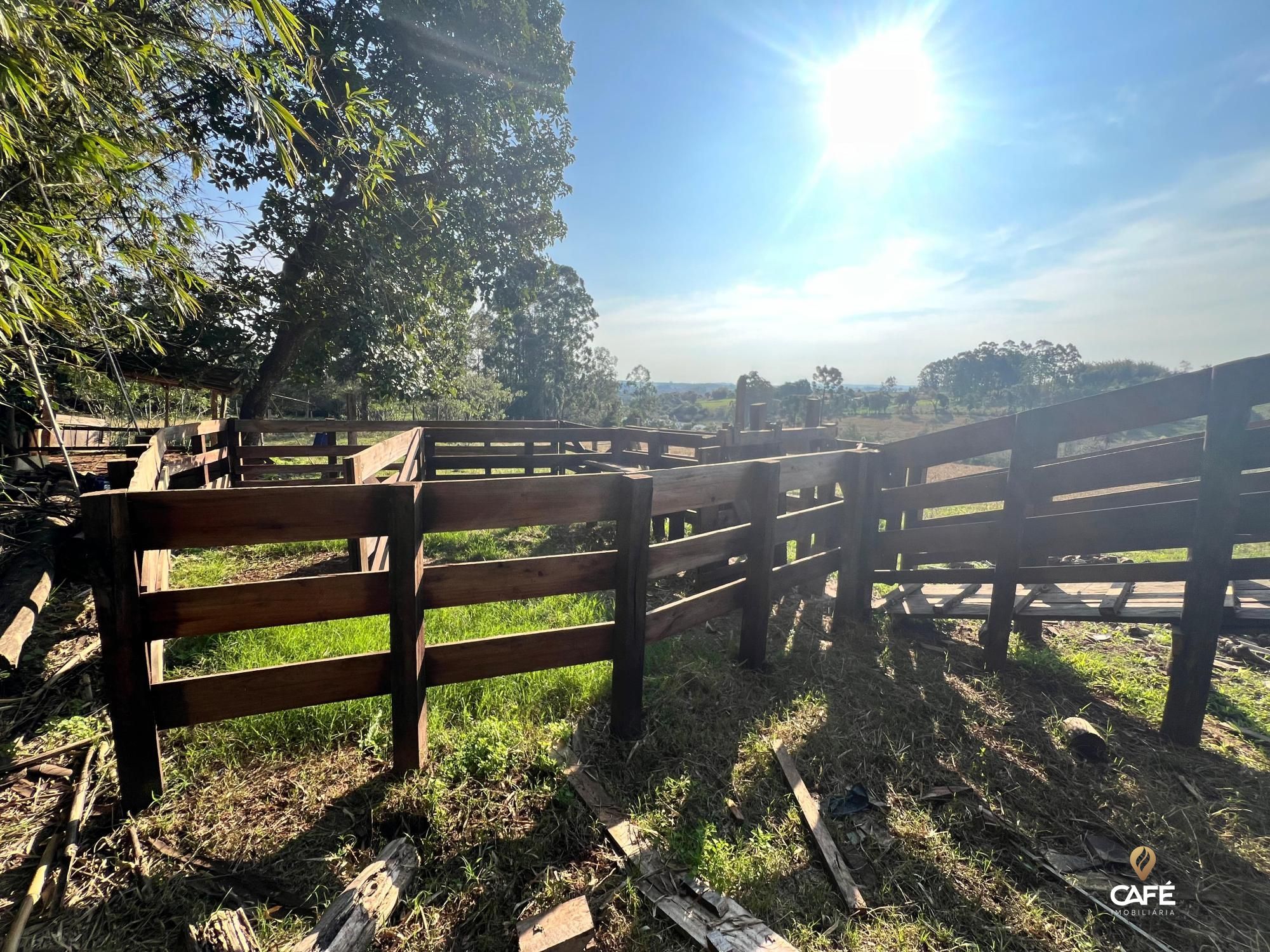 Fazenda à venda, 40m² - Foto 7