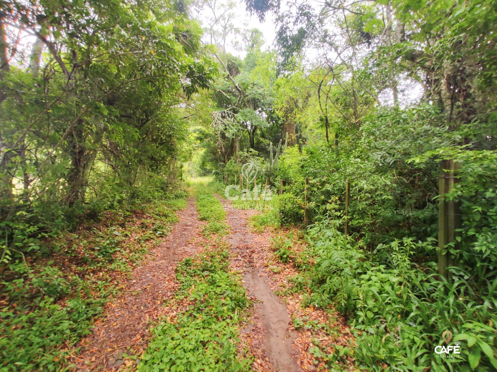 Terreno, 2534 m² - Foto 2