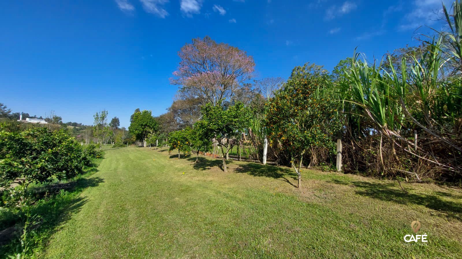 Sítio à venda com 3 quartos, 190m² - Foto 31