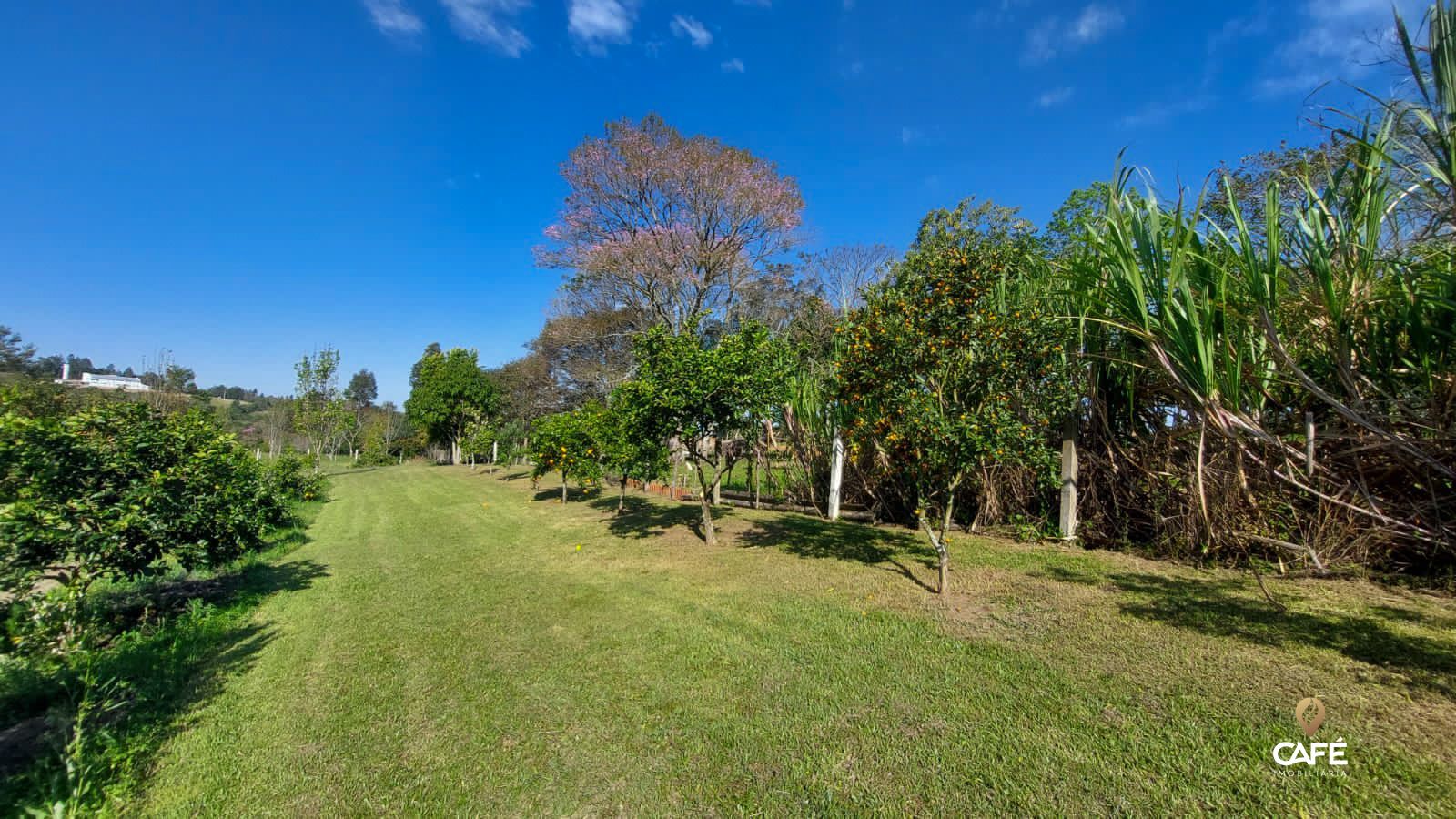 Fazenda à venda com 3 quartos, 190m² - Foto 31