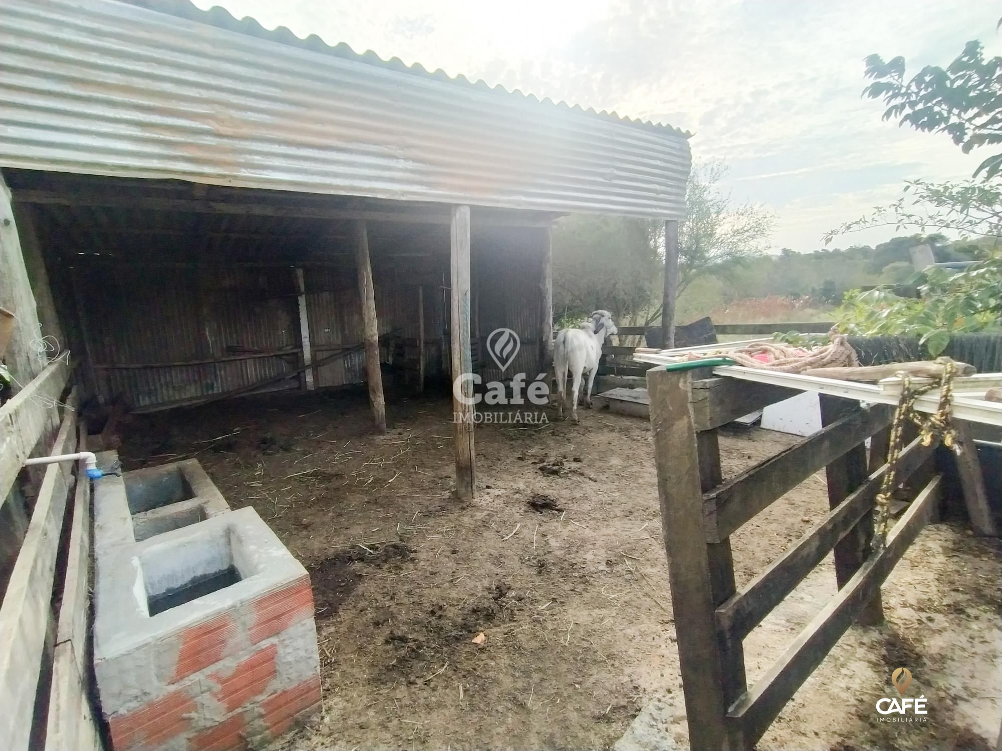 Fazenda à venda com 2 quartos, 182m² - Foto 8