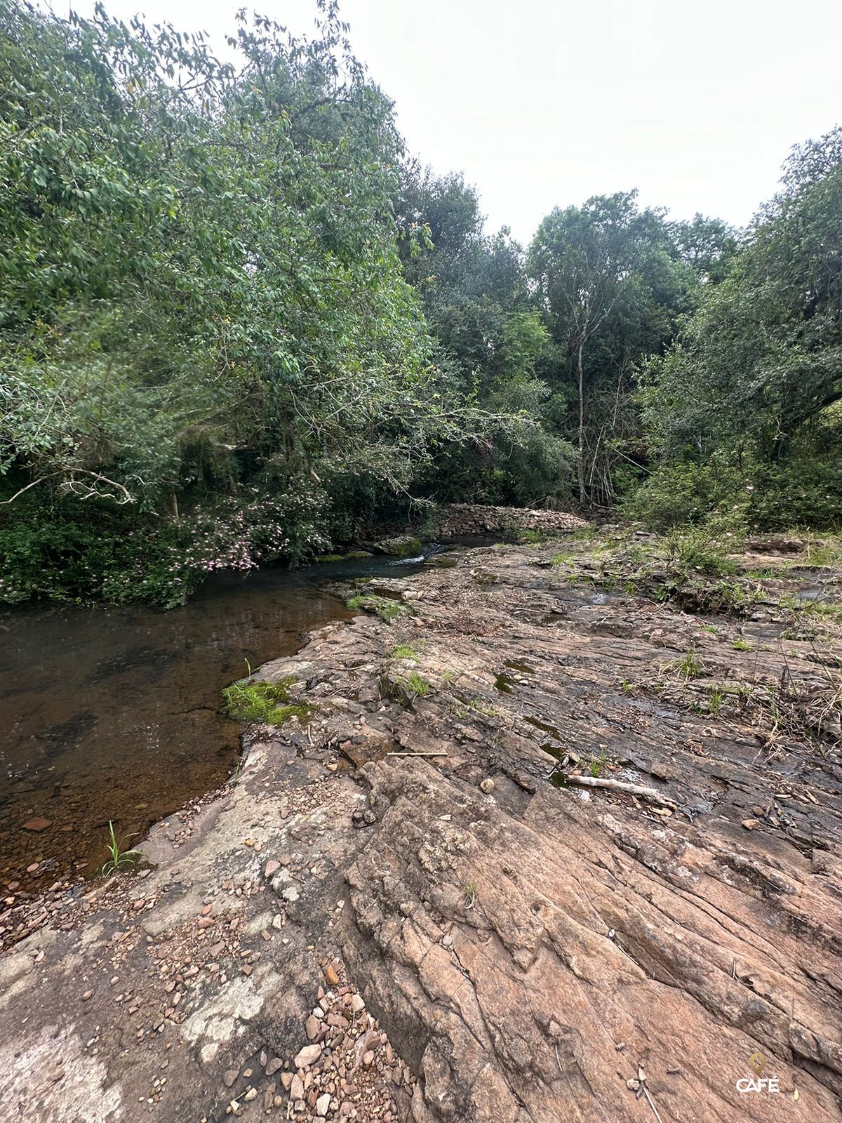 Fazenda à venda, 483000000m² - Foto 5