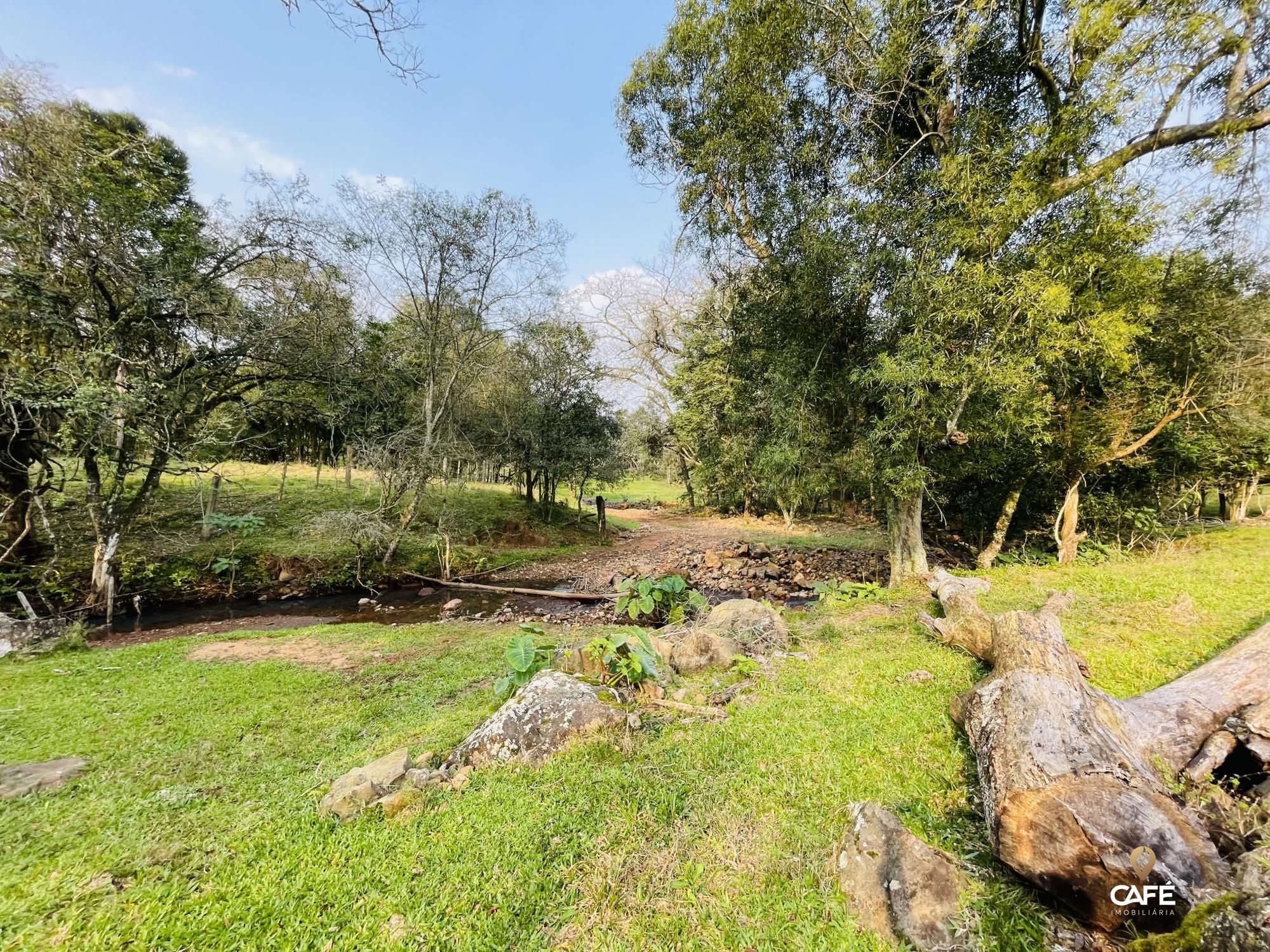 Fazenda à venda com 4 quartos, 240000m² - Foto 43