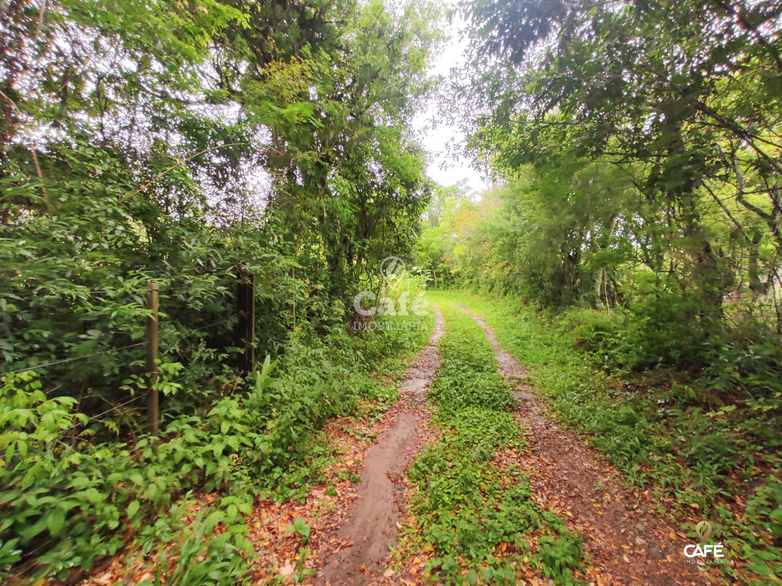 Terreno, 2534 m² - Foto 3