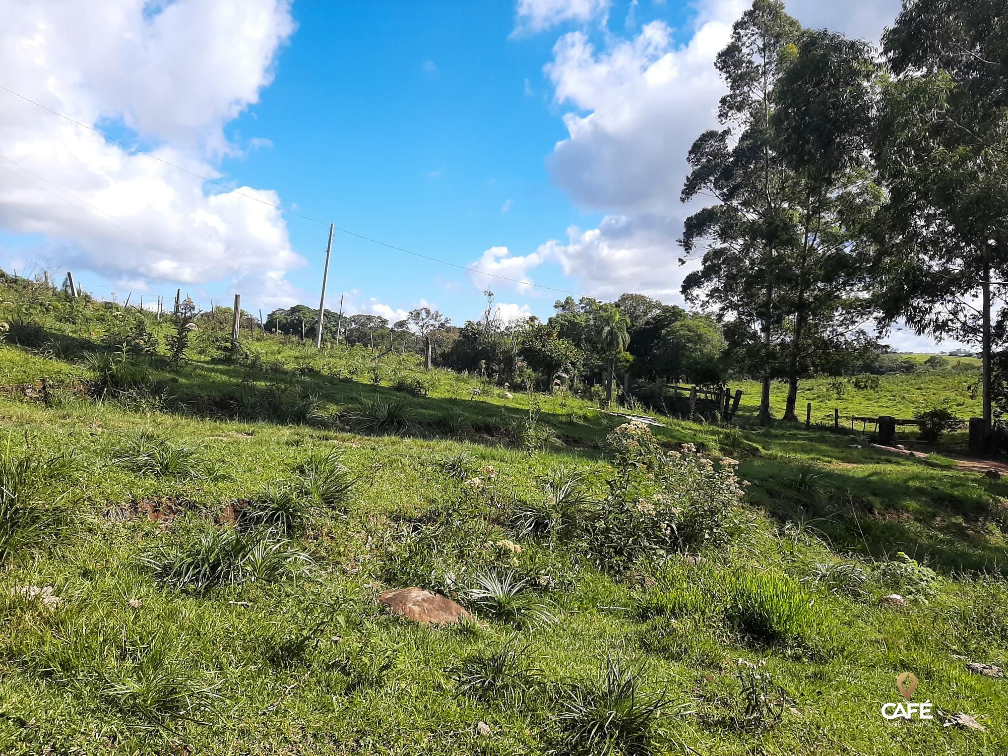 Loteamento e Condomínio à venda, 400000000m² - Foto 4