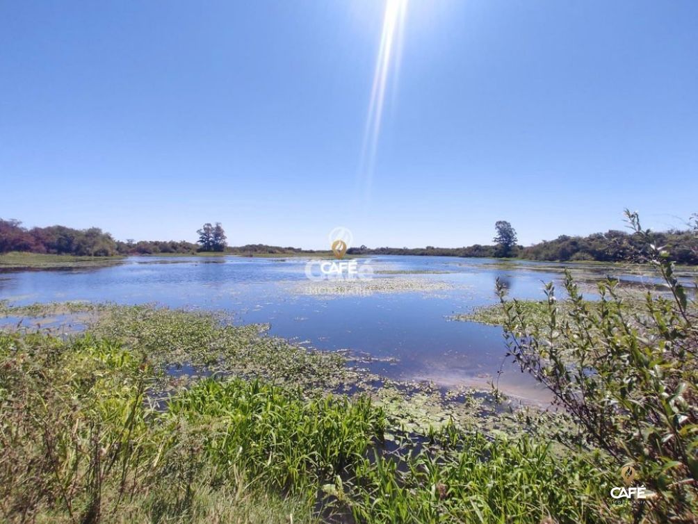 Loteamento e Condomínio, 3550000 hectares - Foto 4