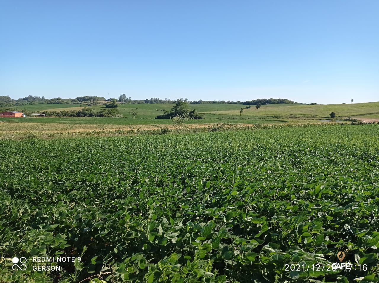 Fazenda à venda, 580000000m² - Foto 1