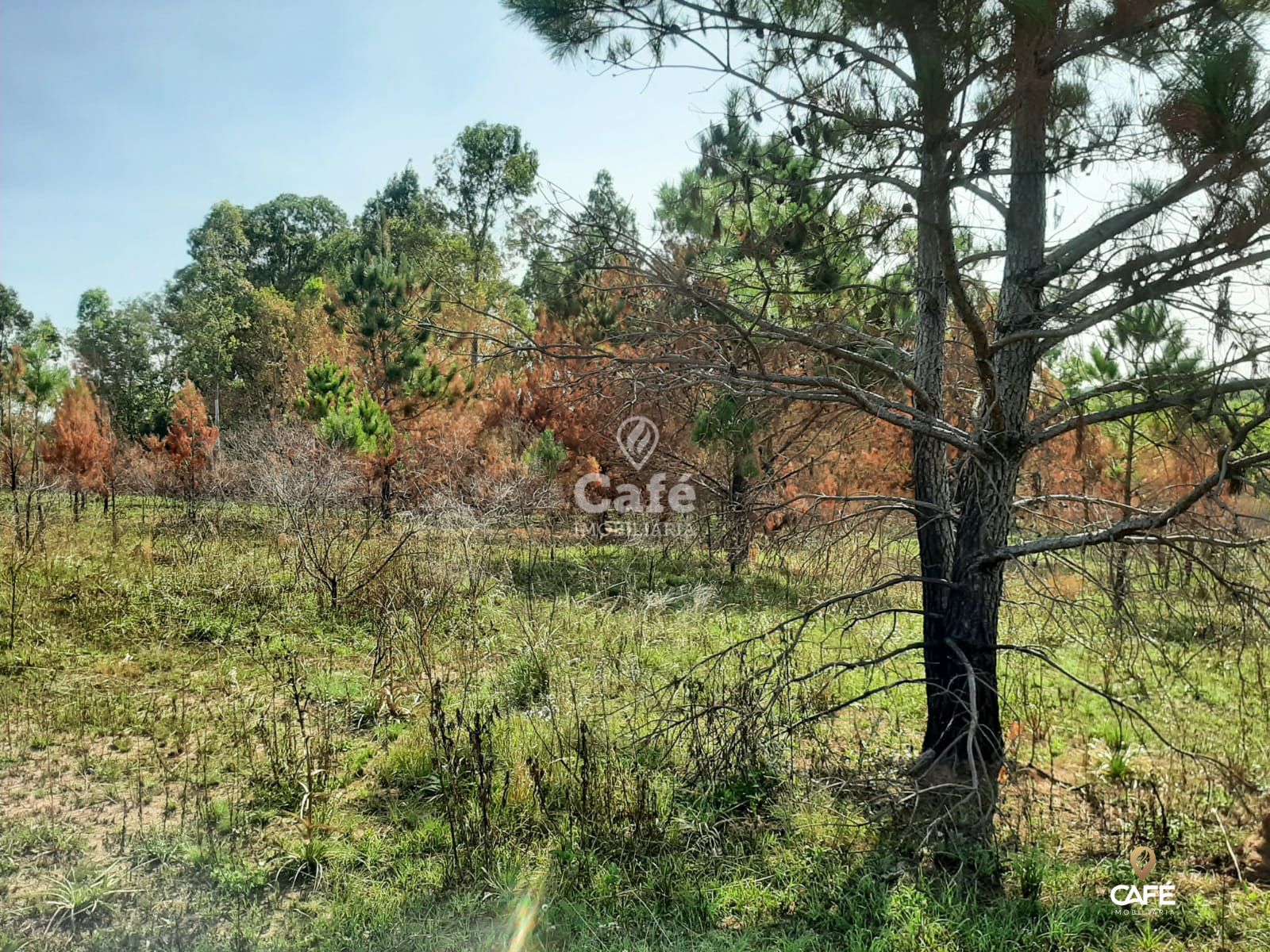 Terreno à venda, 2000m² - Foto 5