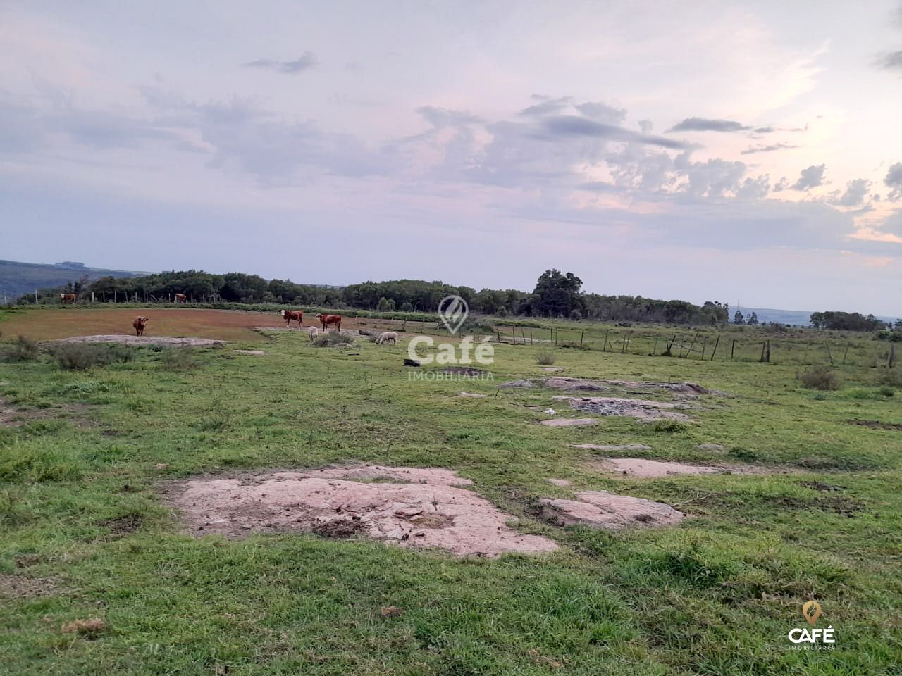 Fazenda-Sítio-Chácara, 6 hectares - Foto 4