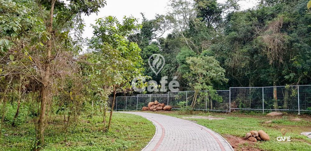 Terreno, 432 m² - Foto 13