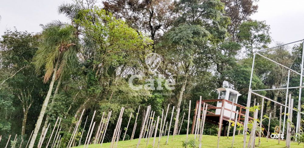 Terreno, 432 m² - Foto 14