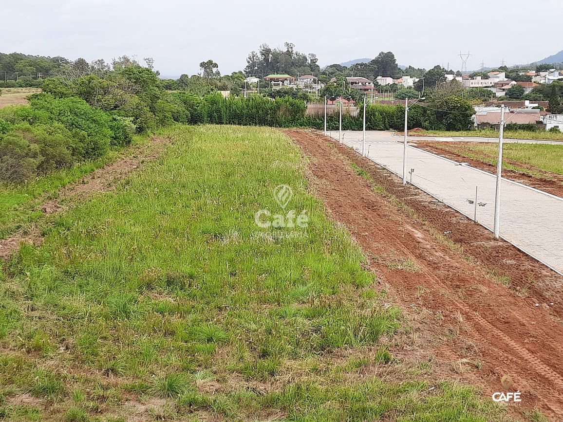 Terreno à venda, 390m² - Foto 6