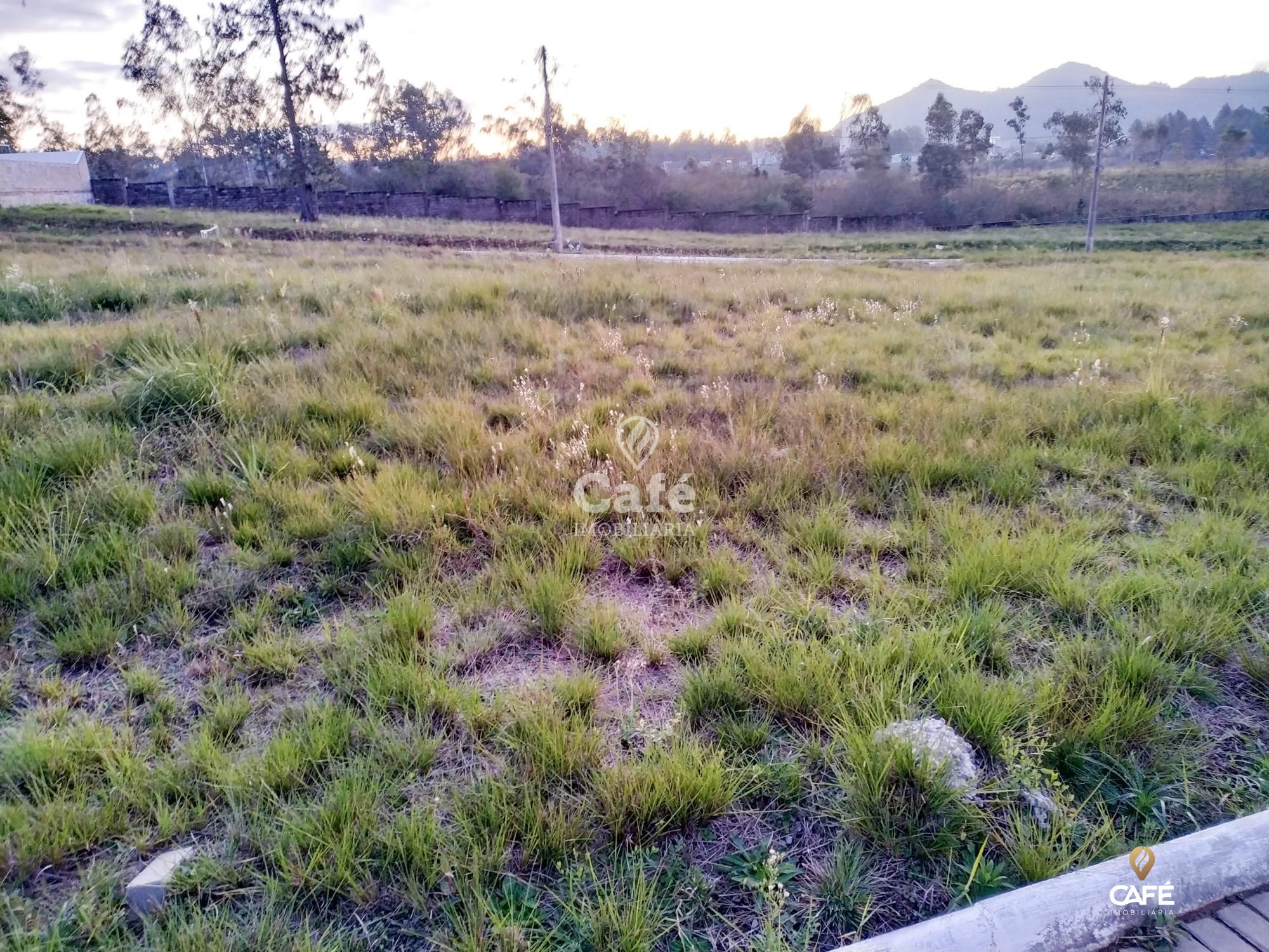 Terreno, 405 m² - Foto 3