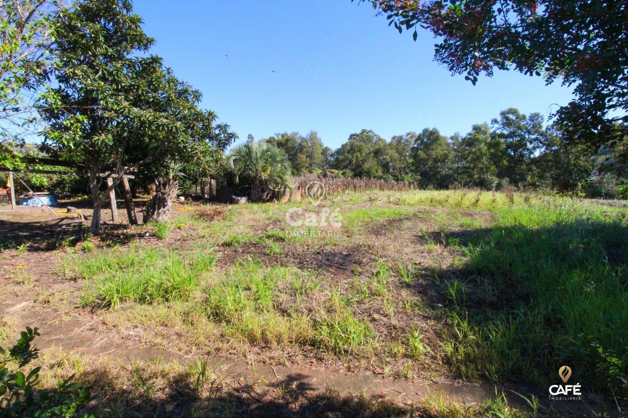 Terreno à venda, 2730m² - Foto 3