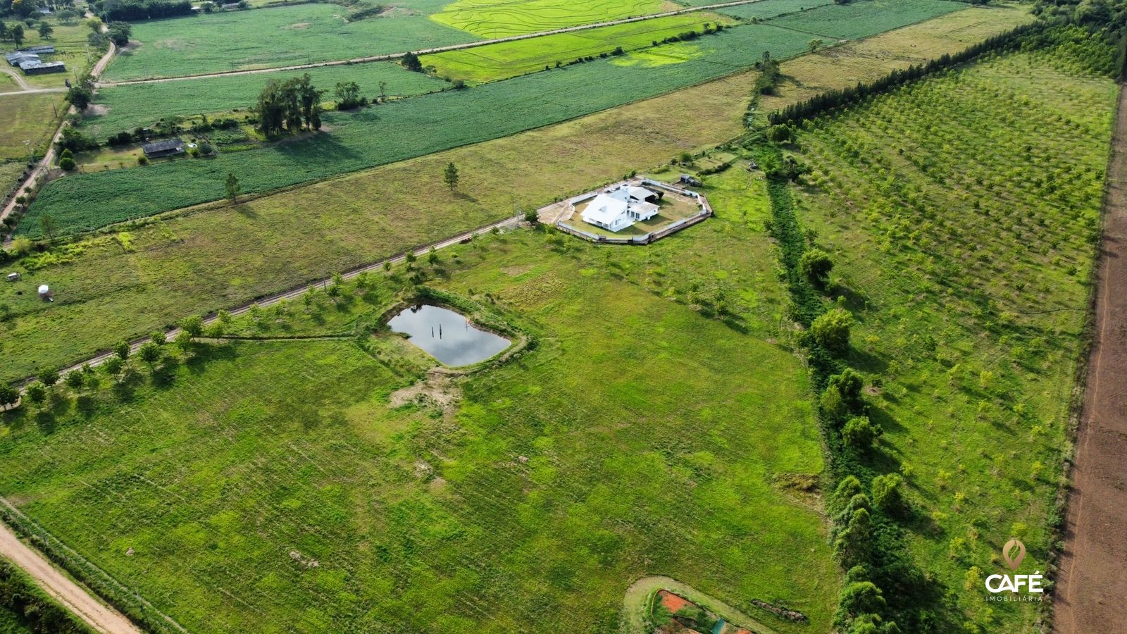 Fazenda à venda com 4 quartos, 600m² - Foto 9