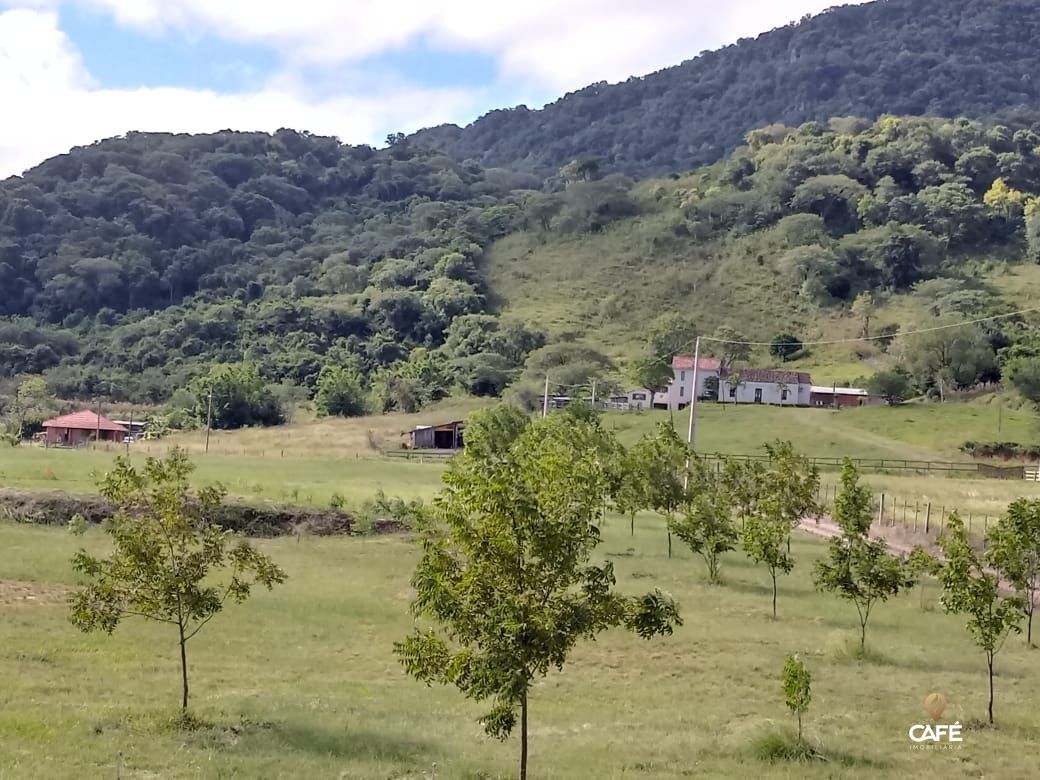 Fazenda à venda com 4 quartos, 600m² - Foto 3