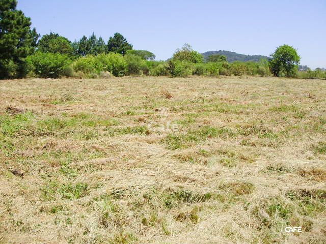 Terreno à venda, 3500m² - Foto 1