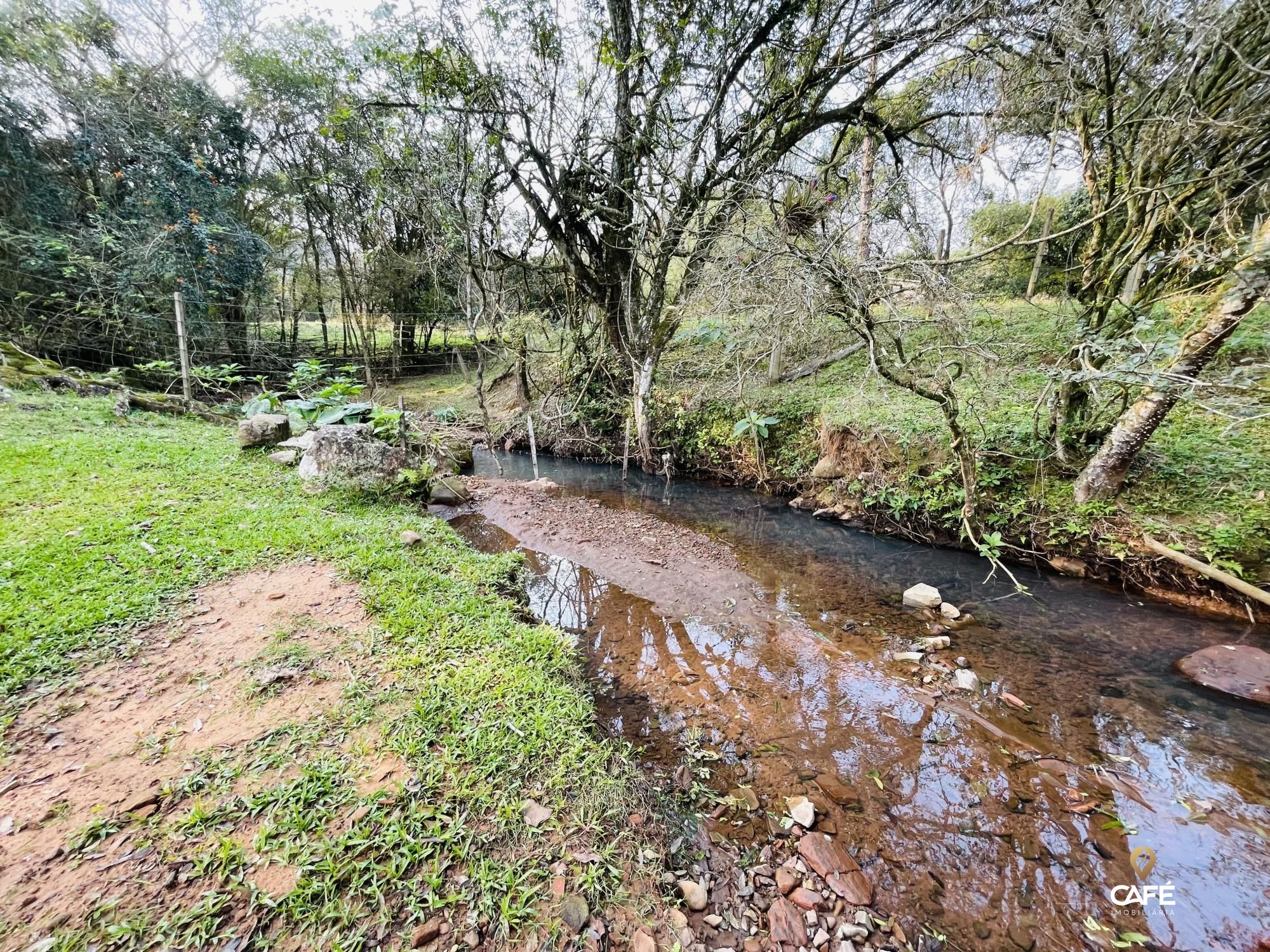 Fazenda à venda com 4 quartos, 240000m² - Foto 38