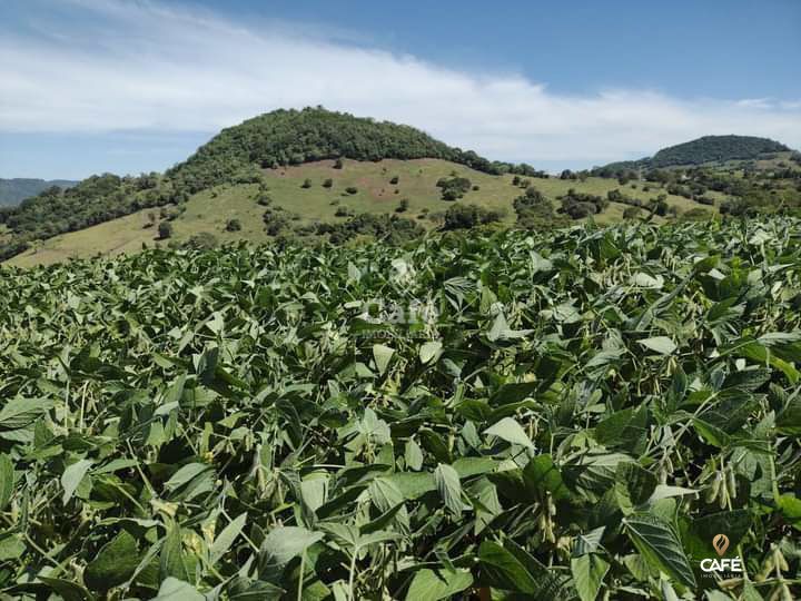 Loteamento e Condomínio à venda, 13000m² - Foto 2