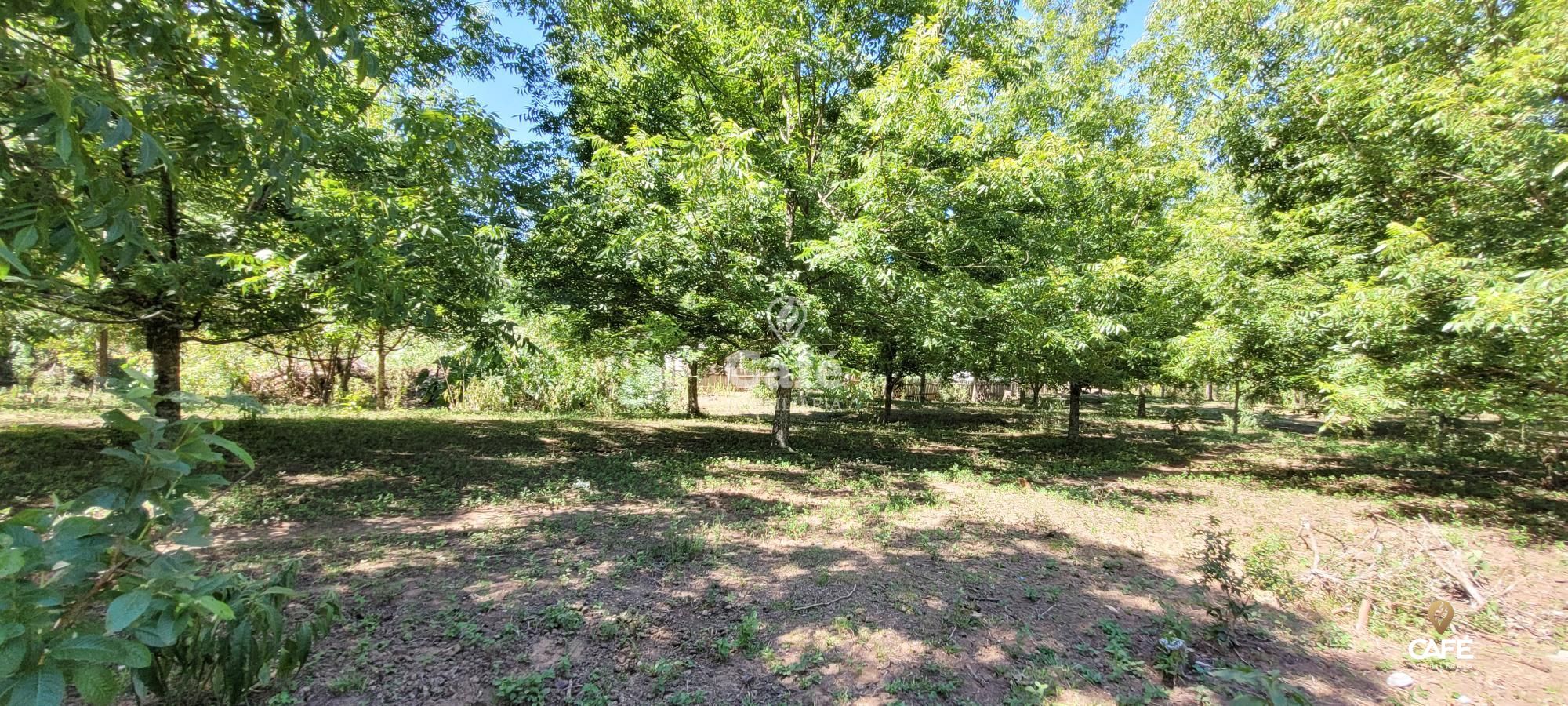 Terreno, 3758 m² - Foto 6