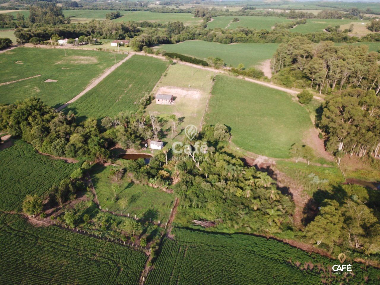 Terreno à venda, 10000m² - Foto 1