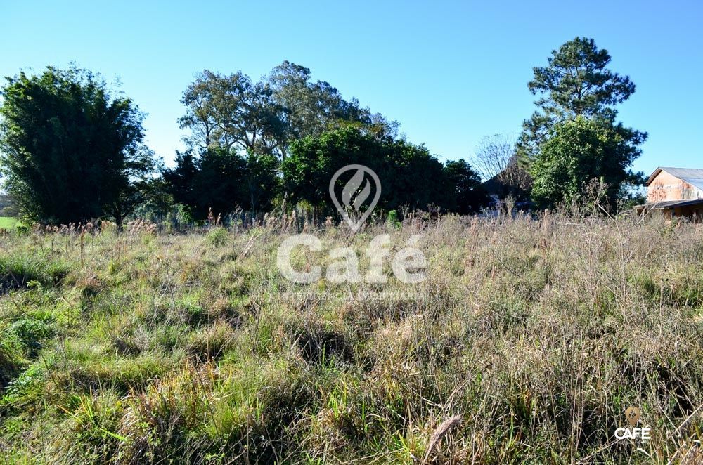 Terreno, 3600 m² - Foto 9