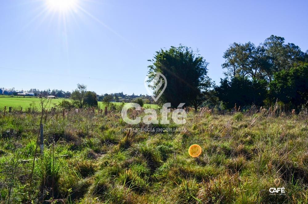 Terreno à venda, 3600m² - Foto 2