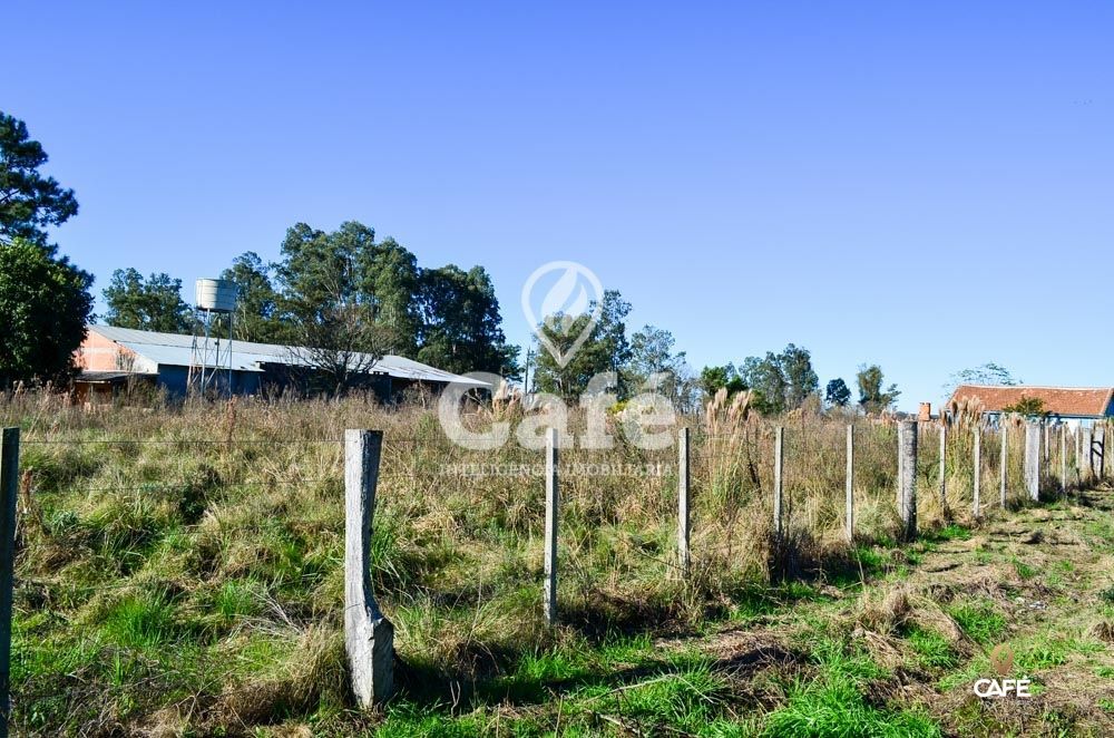 Terreno à venda, 3600m² - Foto 3