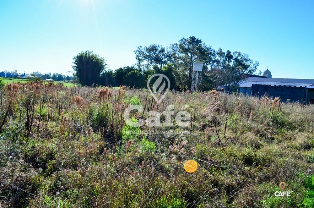 Terreno à venda, 3600m² - Foto 5