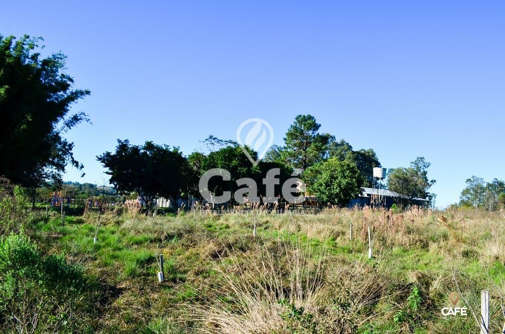 Terreno, 3600 m² - Foto 4