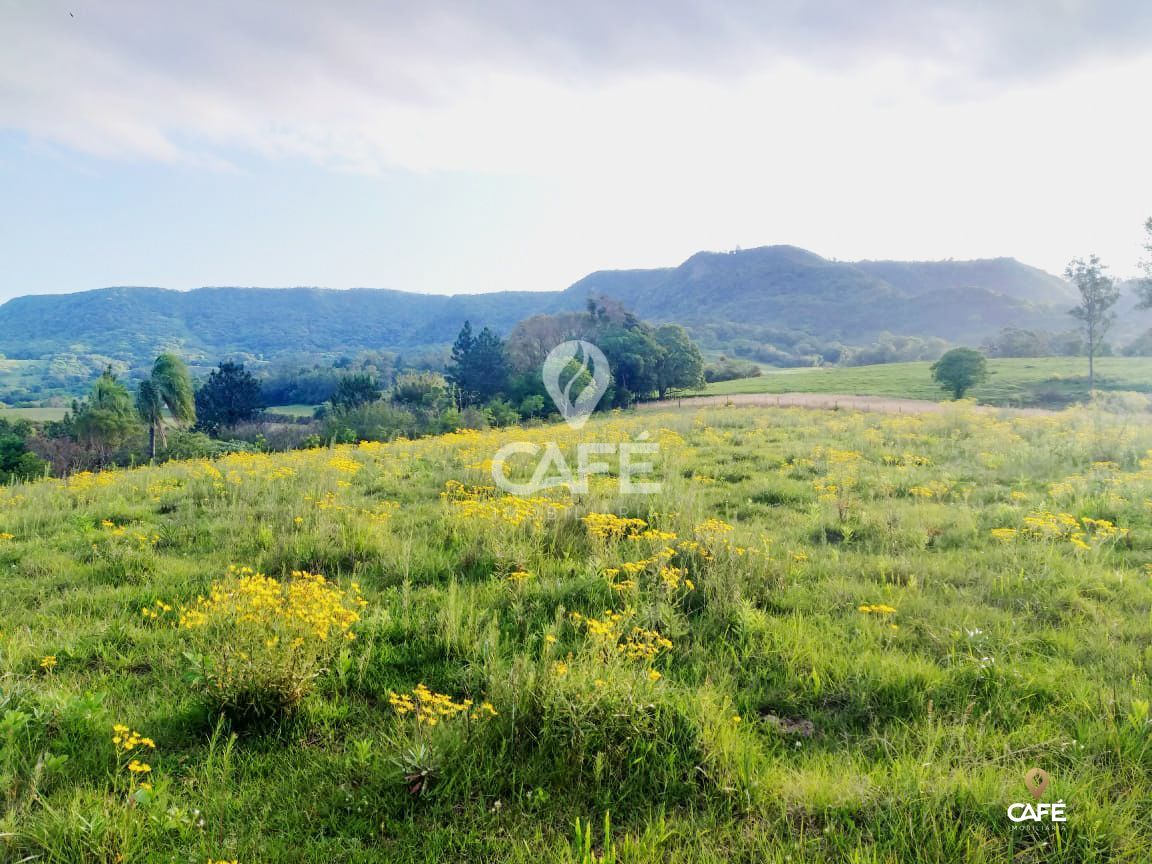 Terreno à venda, 41000m² - Foto 2