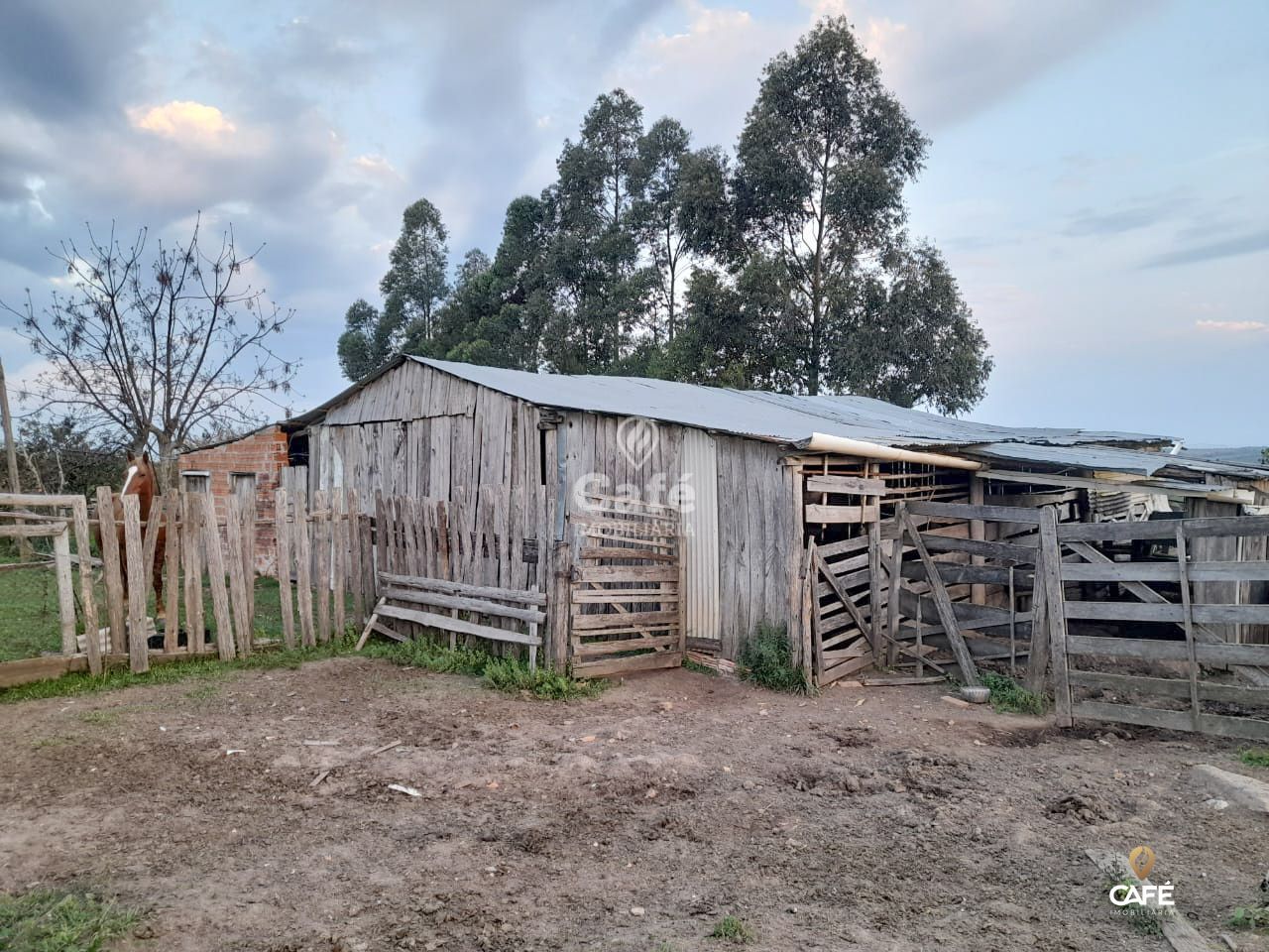 Fazenda à venda com 3 quartos, 96m² - Foto 8