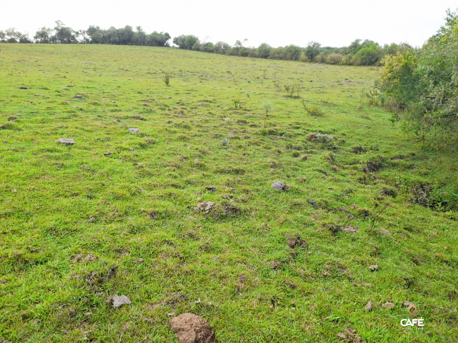 Fazenda à venda com 2 quartos, 100m² - Foto 2