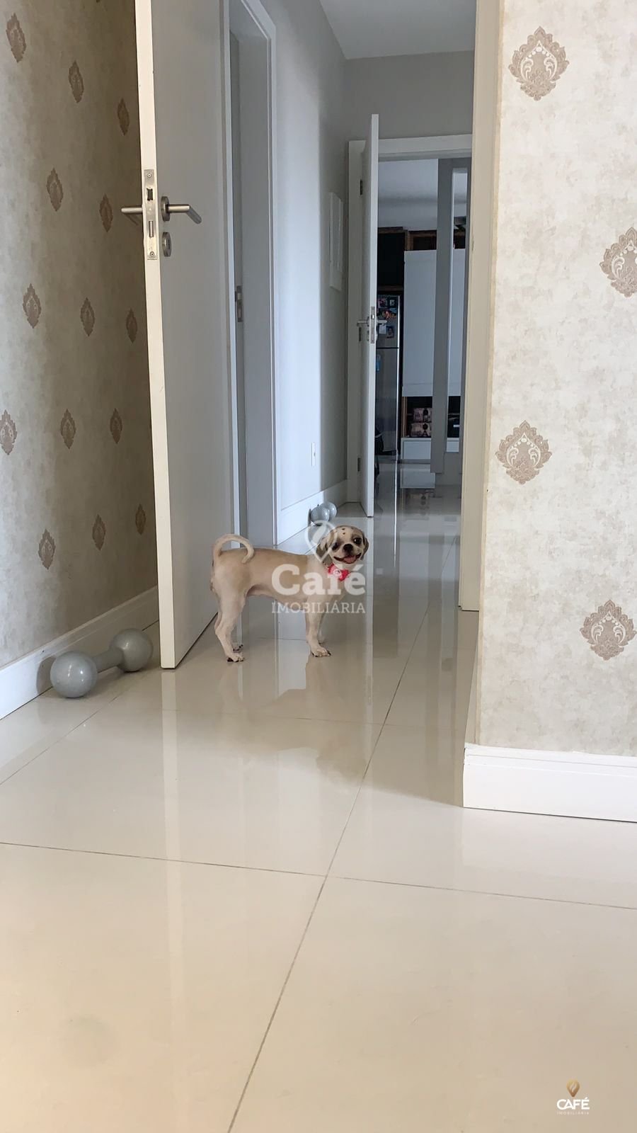 Casa, 3 quartos, 118 m² - Foto 11